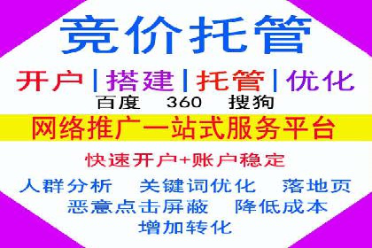 搜索引擎竞价推广实战：行业领先企业的成功秘诀