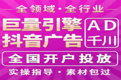 SEM代运营公司案例分析报告